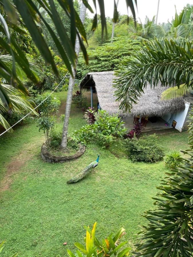 Hiru Villa Tangalle Luaran gambar